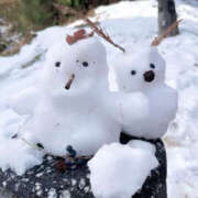 ヒメ日記 2025/01/05 18:55 投稿 今永ひろこ 横浜プロダクション
