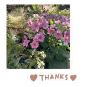 ヒメ日記 2025/01/24 22:52 投稿 今永ひろこ 横浜プロダクション