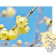 ヒメ日記 2025/01/27 17:34 投稿 今永ひろこ 横浜プロダクション