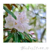 ヒメ日記 2025/02/08 19:59 投稿 今永ひろこ 横浜プロダクション