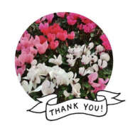 ヒメ日記 2025/02/16 11:08 投稿 今永ひろこ 横浜プロダクション