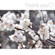 ヒメ日記 2025/02/22 16:33 投稿 今永ひろこ 横浜プロダクション