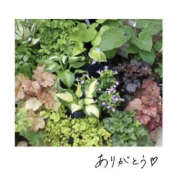 ヒメ日記 2025/03/01 10:14 投稿 今永ひろこ 横浜プロダクション