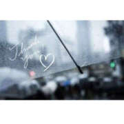 ヒメ日記 2025/03/03 17:36 投稿 今永ひろこ 横浜プロダクション