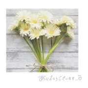 ヒメ日記 2025/03/16 20:08 投稿 今永ひろこ 横浜プロダクション