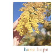 ヒメ日記 2025/03/22 19:23 投稿 今永ひろこ 横浜プロダクション