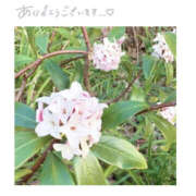 ヒメ日記 2025/03/23 22:02 投稿 今永ひろこ 横浜プロダクション