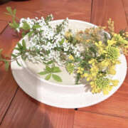 ヒメ日記 2025/03/29 21:06 投稿 今永ひろこ 横浜プロダクション