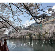 ヒメ日記 2025/04/11 20:00 投稿 今永ひろこ 横浜プロダクション