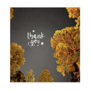 ヒメ日記 2025/04/12 08:09 投稿 今永ひろこ 横浜プロダクション