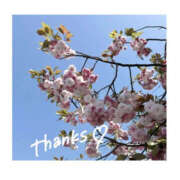 ヒメ日記 2025/04/28 15:17 投稿 今永ひろこ 横浜プロダクション