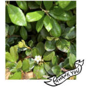 ヒメ日記 2025/05/02 09:44 投稿 今永ひろこ 横浜プロダクション