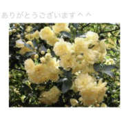 ヒメ日記 2025/05/03 07:35 投稿 今永ひろこ 横浜プロダクション