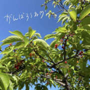 ヒメ日記 2025/05/06 17:30 投稿 今永ひろこ 横浜プロダクション