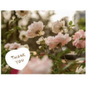 ヒメ日記 2025/05/21 21:57 投稿 今永ひろこ 横浜プロダクション