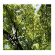 ヒメ日記 2025/05/21 22:01 投稿 今永ひろこ 横浜プロダクション