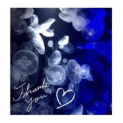 ヒメ日記 2025/06/11 17:18 投稿 今永ひろこ 横浜プロダクション