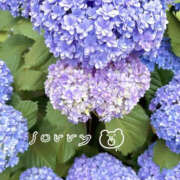 ヒメ日記 2025/06/14 16:18 投稿 今永ひろこ 横浜プロダクション