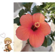 ヒメ日記 2025/08/30 19:54 投稿 今永ひろこ 横浜プロダクション