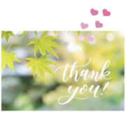 ヒメ日記 2025/09/22 14:17 投稿 今永ひろこ 横浜プロダクション