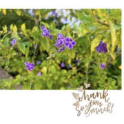 ヒメ日記 2025/10/06 19:05 投稿 今永ひろこ 横浜プロダクション