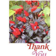 ヒメ日記 2025/10/12 20:24 投稿 今永ひろこ 横浜プロダクション