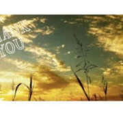 ヒメ日記 2025/10/16 11:47 投稿 今永ひろこ 横浜プロダクション