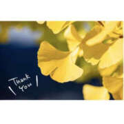 ヒメ日記 2025/10/29 21:18 投稿 今永ひろこ 横浜プロダクション