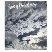 ヒメ日記 2025/11/12 12:53 投稿 今永ひろこ 横浜プロダクション