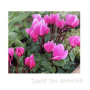 ヒメ日記 2025/11/24 12:06 投稿 今永ひろこ 横浜プロダクション