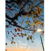 今永ひろこ 11日のお礼日記です。 横浜プロダクション