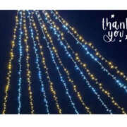 ヒメ日記 2025/12/21 13:40 投稿 今永ひろこ 横浜プロダクション