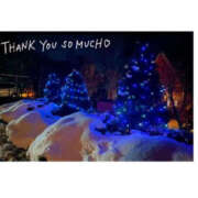 ヒメ日記 2025/12/28 10:38 投稿 今永ひろこ 横浜プロダクション