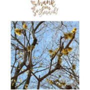 ヒメ日記 2026/01/22 11:58 投稿 今永ひろこ 横浜プロダクション