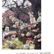 ヒメ日記 2026/02/07 16:40 投稿 今永ひろこ 横浜プロダクション