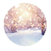 ヒメ日記 2026/02/16 20:53 投稿 今永ひろこ 横浜プロダクション