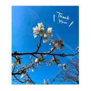 ヒメ日記 2026/02/27 11:20 投稿 今永ひろこ 横浜プロダクション