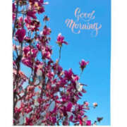 今永ひろこ おはよです 横浜プロダクション