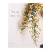 今永ひろこ ごめんなさい... 横浜プロダクション