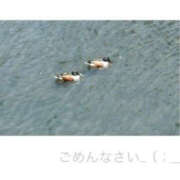 ヒメ日記 2026/04/17 16:04 投稿 今永ひろこ 横浜プロダクション