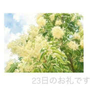 ヒメ日記 2026/06/23 23:26 投稿 今永ひろこ 横浜プロダクション