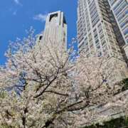 ヒメ日記 2025/04/08 07:00 投稿 中野 綾香 SUMIRE