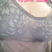 ヒメ日記 2025/09/20 16:52 投稿 中野 綾香 SUMIRE