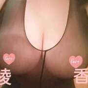 ヒメ日記 2026/06/02 07:59 投稿 中野 綾香 SUMIRE