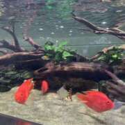 ヒメ日記 2025/02/21 14:36 投稿 おとは 大阪回春性感エステティーク谷九店