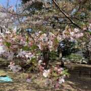 ヒメ日記 2025/04/10 04:26 投稿 おとは 大阪回春性感エステティーク谷九店