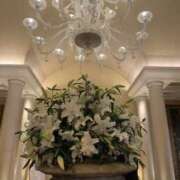 ヒメ日記 2025/04/12 11:06 投稿 おとは 大阪回春性感エステティーク谷九店