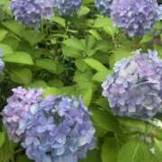 ヒメ日記 2025/06/27 16:16 投稿 おとは 大阪回春性感エステティーク谷九店