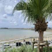 ヒメ日記 2025/07/22 11:44 投稿 おとは 大阪回春性感エステティーク谷九店