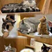 ヒメ日記 2025/09/05 14:16 投稿 おとは 大阪回春性感エステティーク谷九店